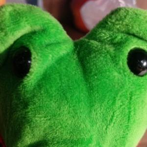 Малой такиза